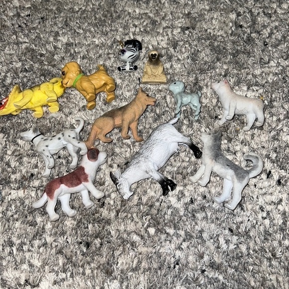 Lot of animals - Picture 1 of 1